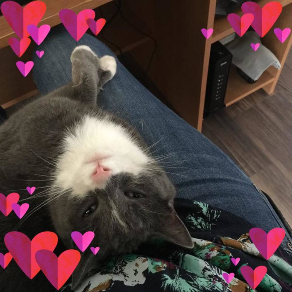 Meet your Posher, Lindsey